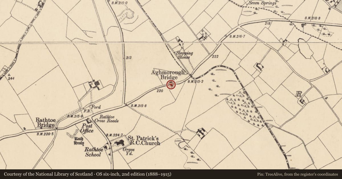 Ordnance Survey six-inch map, 2nd edition (1888–1915) covering the location of Burial ground, Rathtoe, County Carlow, with a pin at the register's coordinates