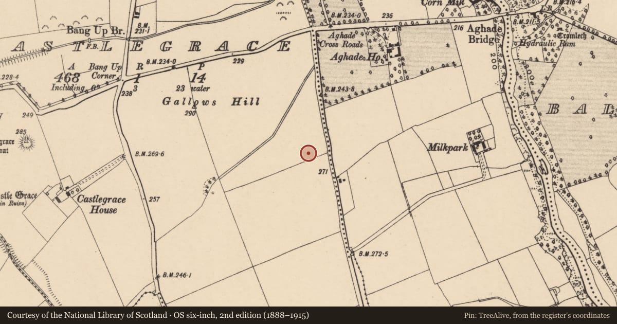 Ordnance Survey six-inch map, 2nd edition (1888–1915) covering the location of Enclosure, Castlegrace, County Carlow, with a pin at the register's coordinates