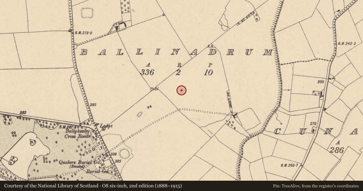 Ordnance Survey six-inch map, 2nd edition (1888–1915) covering the location of Ring-ditch, Ballinadrum, County Carlow, with a pin at the register's coordinates