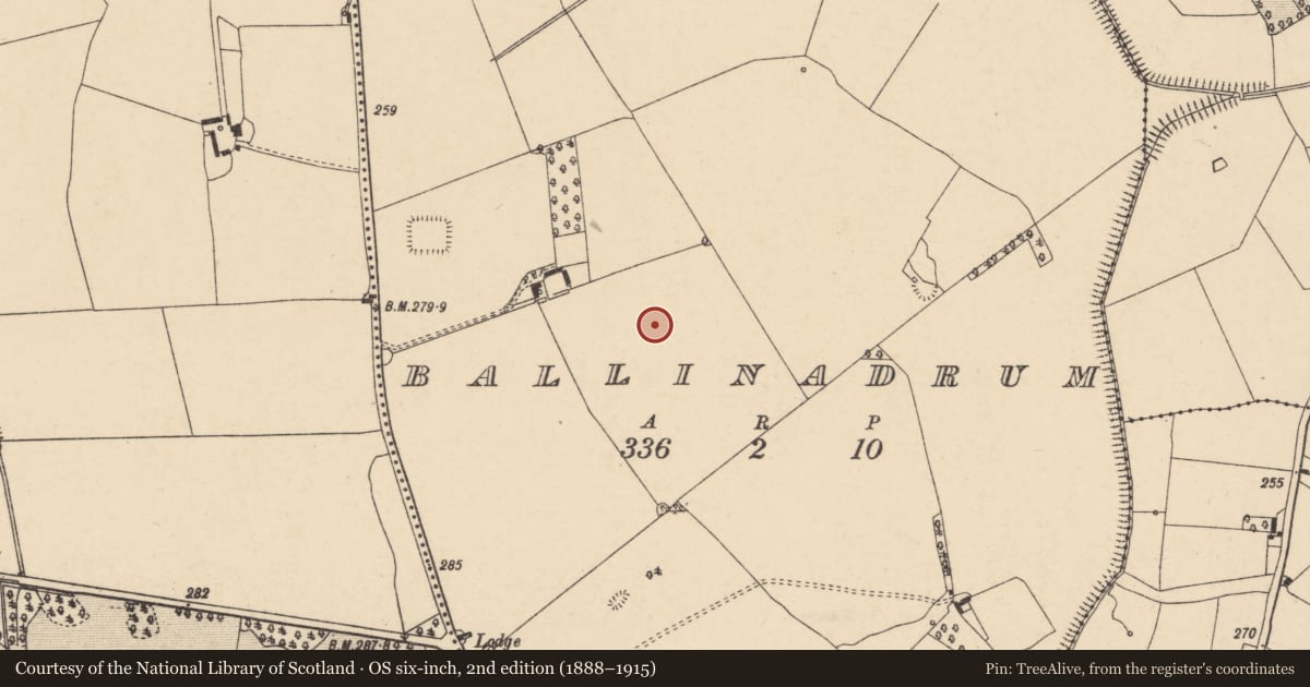 Ordnance Survey six-inch map, 2nd edition (1888–1915) covering the location of Field system, Ballinadrum, County Carlow, with a pin at the register's coordinates
