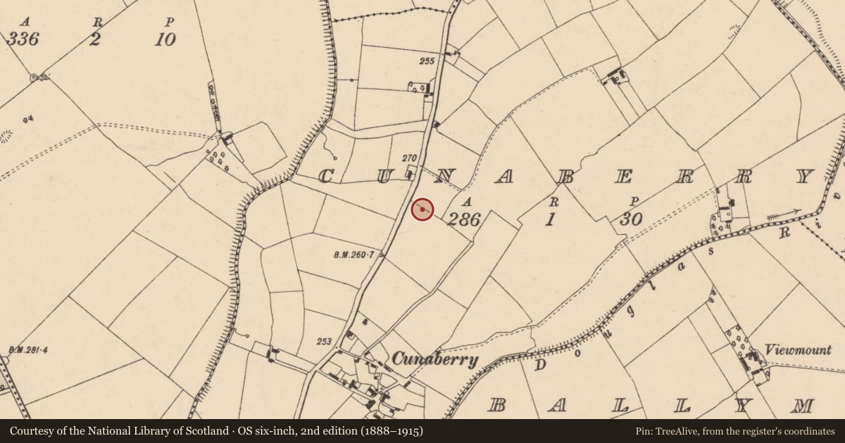 Ordnance Survey six-inch map, 2nd edition (1888–1915) covering the location of Ring-ditch, Cunaberry, County Carlow, with a pin at the register's coordinates