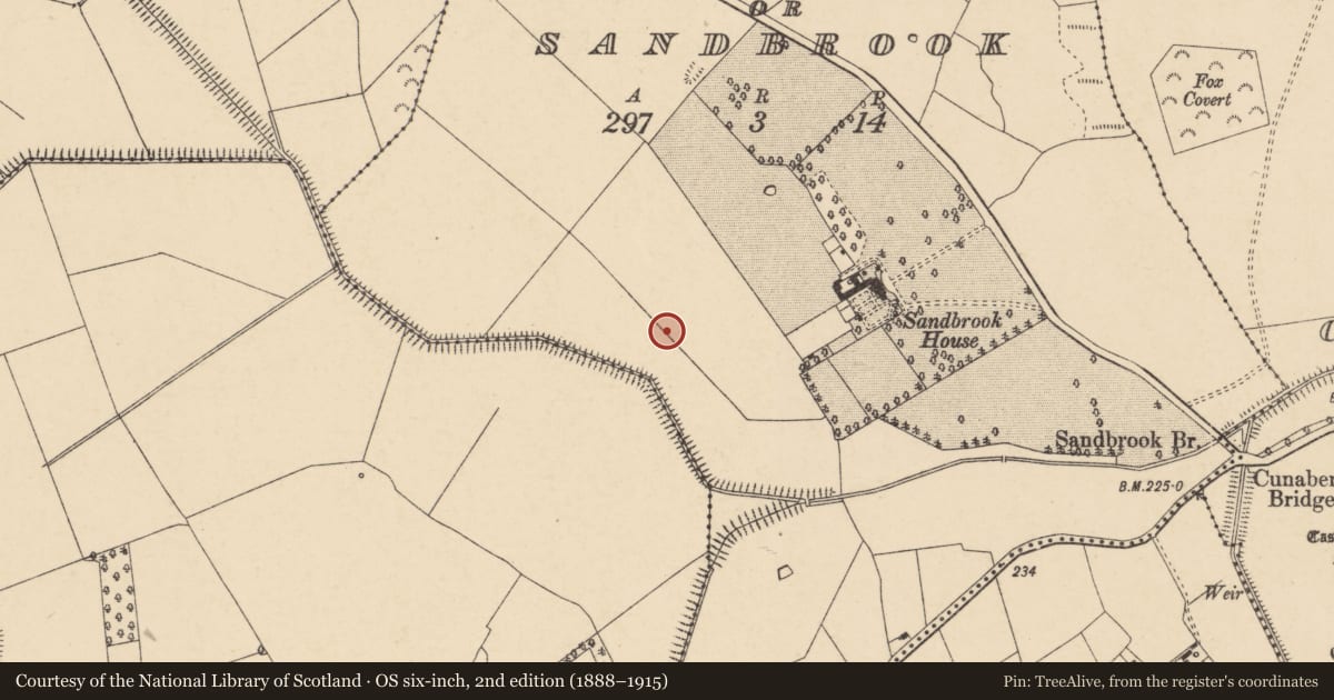 Ordnance Survey six-inch map, 2nd edition (1888–1915) covering the location of Field system, Ballygarret Or Sandbrook, County Carlow, with a pin at the register's coordinates