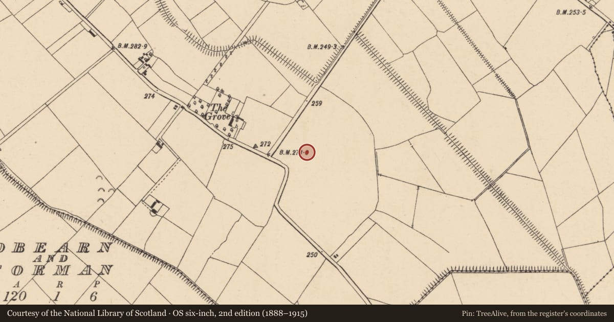 Ordnance Survey six-inch map, 2nd edition (1888–1915) covering the location of Moated site, Rathrush, County Carlow, with a pin at the register's coordinates