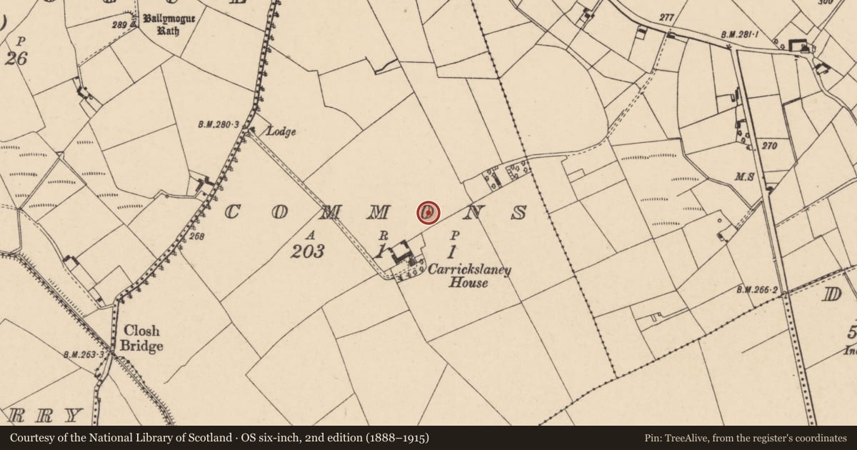 Ordnance Survey six-inch map, 2nd edition (1888–1915) covering the location of Ring-ditch, Commons, County Carlow, with a pin at the register's coordinates