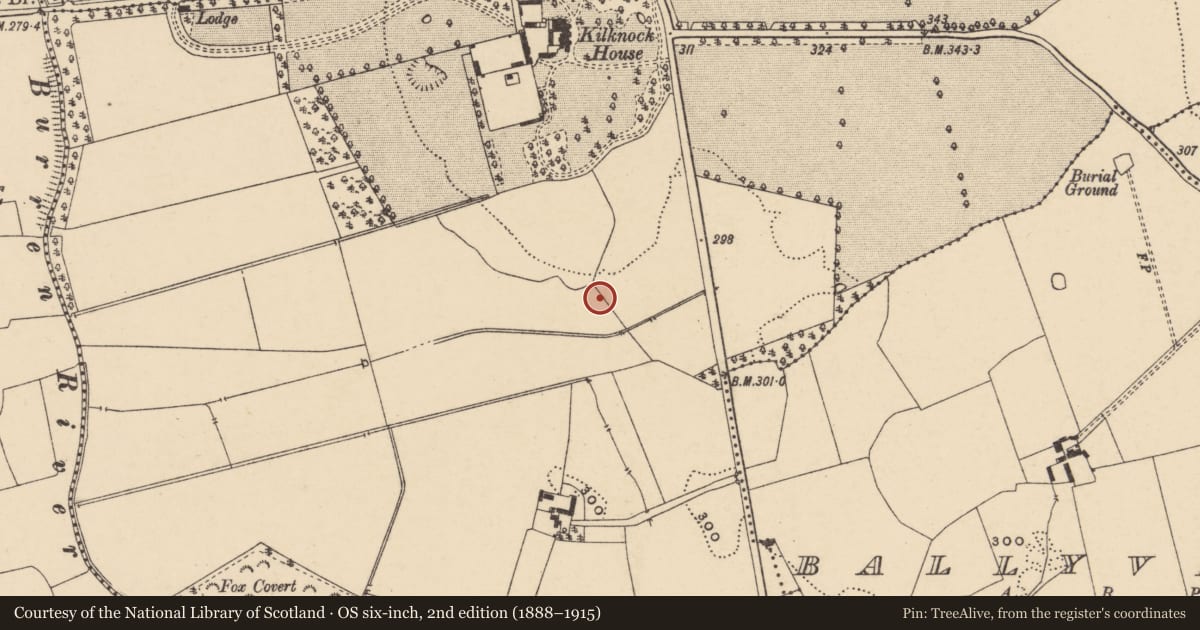 Ordnance Survey six-inch map, 2nd edition (1888–1915) covering the location of Enclosure, Kilknock, County Carlow, with a pin at the register's coordinates