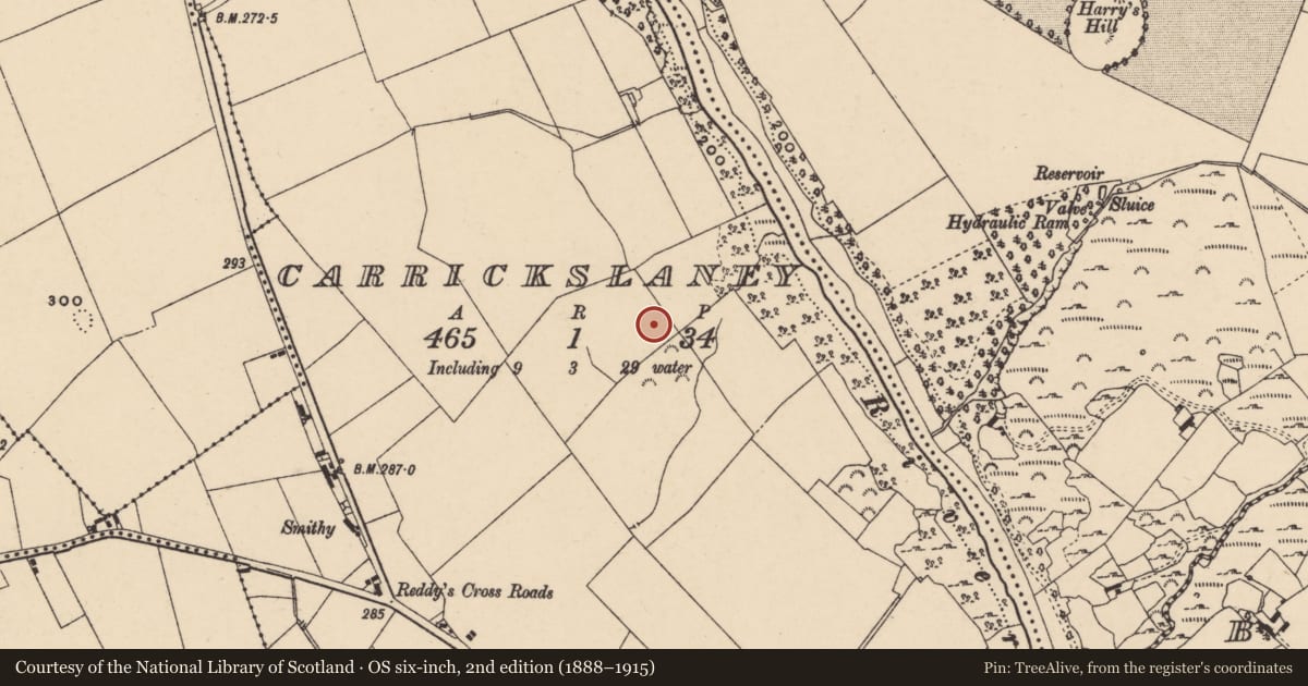 Ordnance Survey six-inch map, 2nd edition (1888–1915) covering the location of Enclosure, Carrickslaney, County Carlow, with a pin at the register's coordinates