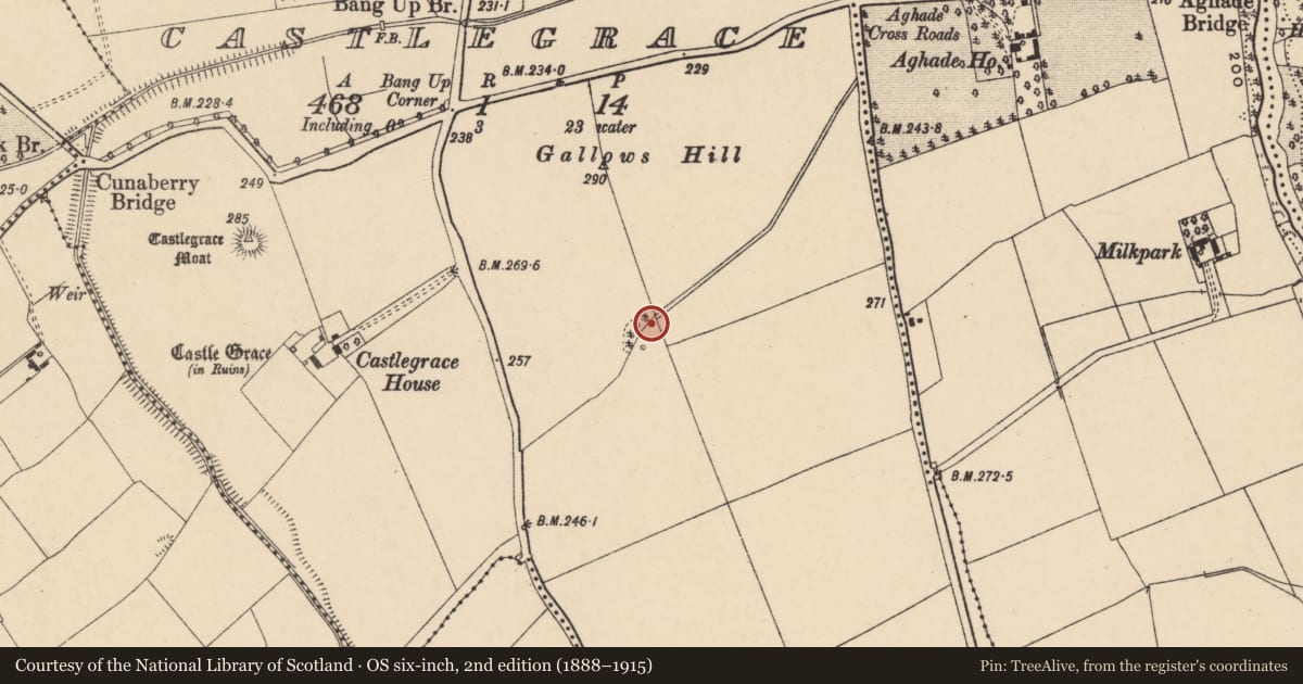 Ordnance Survey six-inch map, 2nd edition (1888–1915) covering the location of Enclosure, Castlegrace, County Carlow, with a pin at the register's coordinates