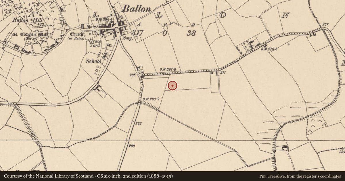 Ordnance Survey six-inch map, 2nd edition (1888–1915) covering the location of Ring-ditch, Larah, County Carlow, with a pin at the register's coordinates