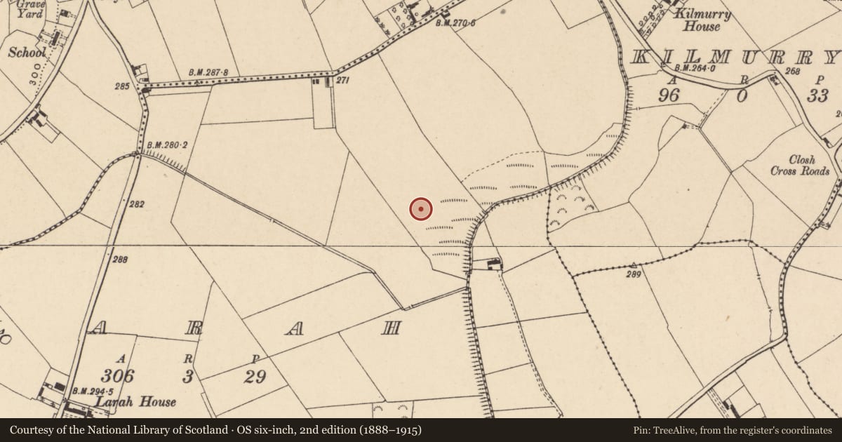 Ordnance Survey six-inch map, 2nd edition (1888–1915) covering the location of Enclosure, Larah, County Carlow, with a pin at the register's coordinates