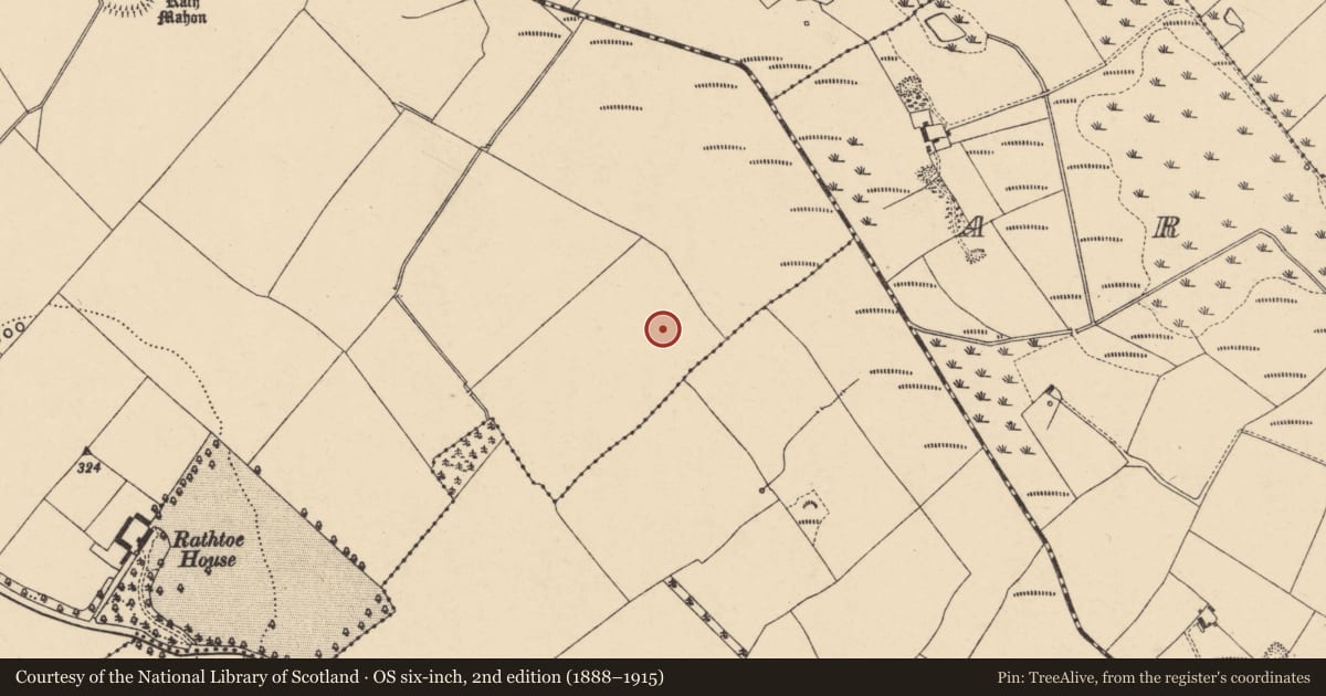 Ordnance Survey six-inch map, 2nd edition (1888–1915) covering the location of Enclosure, Rathtoe, County Carlow, with a pin at the register's coordinates
