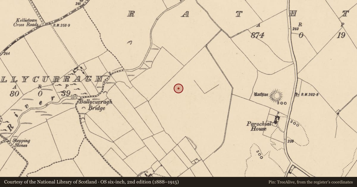 Ordnance Survey six-inch map, 2nd edition (1888–1915) covering the location of Enclosure, Rathtoe, County Carlow, with a pin at the register's coordinates