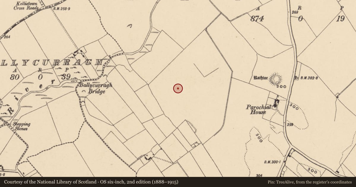 Ordnance Survey six-inch map, 2nd edition (1888–1915) covering the location of Enclosure, Rathtoe, County Carlow, with a pin at the register's coordinates