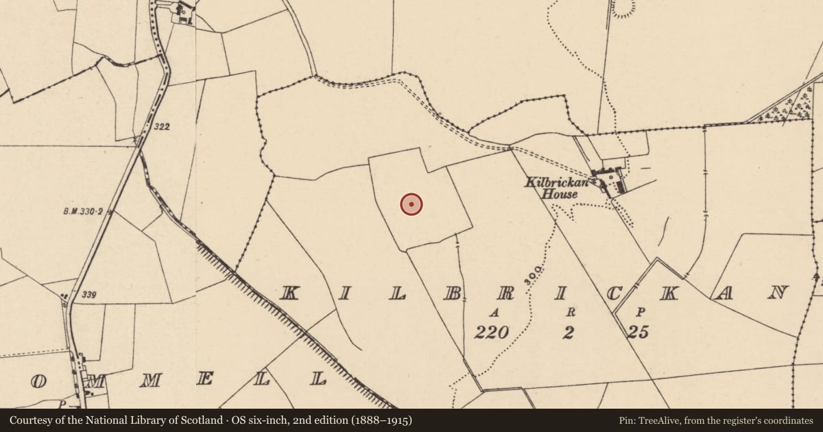 Ordnance Survey six-inch map, 2nd edition (1888–1915) covering the location of Enclosure, Kilbrickan, County Carlow, with a pin at the register's coordinates