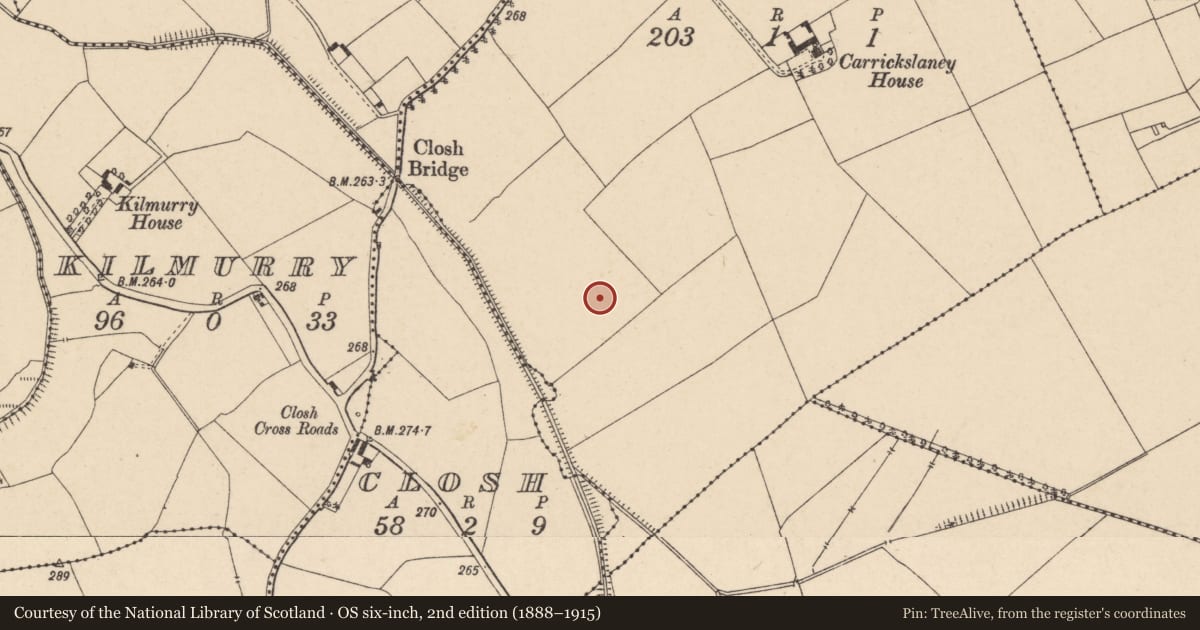Ordnance Survey six-inch map, 2nd edition (1888–1915) covering the location of Enclosure, Commons, County Carlow, with a pin at the register's coordinates