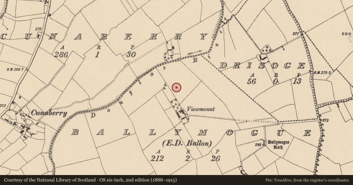 Ordnance Survey six-inch map, 2nd edition (1888–1915) covering the location of Enclosure, Ballymogue, County Carlow, with a pin at the register's coordinates