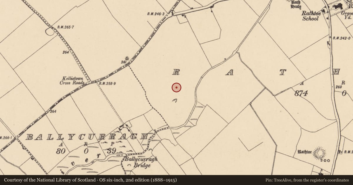 Ordnance Survey six-inch map, 2nd edition (1888–1915) covering the location of Enclosure, Rathtoe, County Carlow, with a pin at the register's coordinates