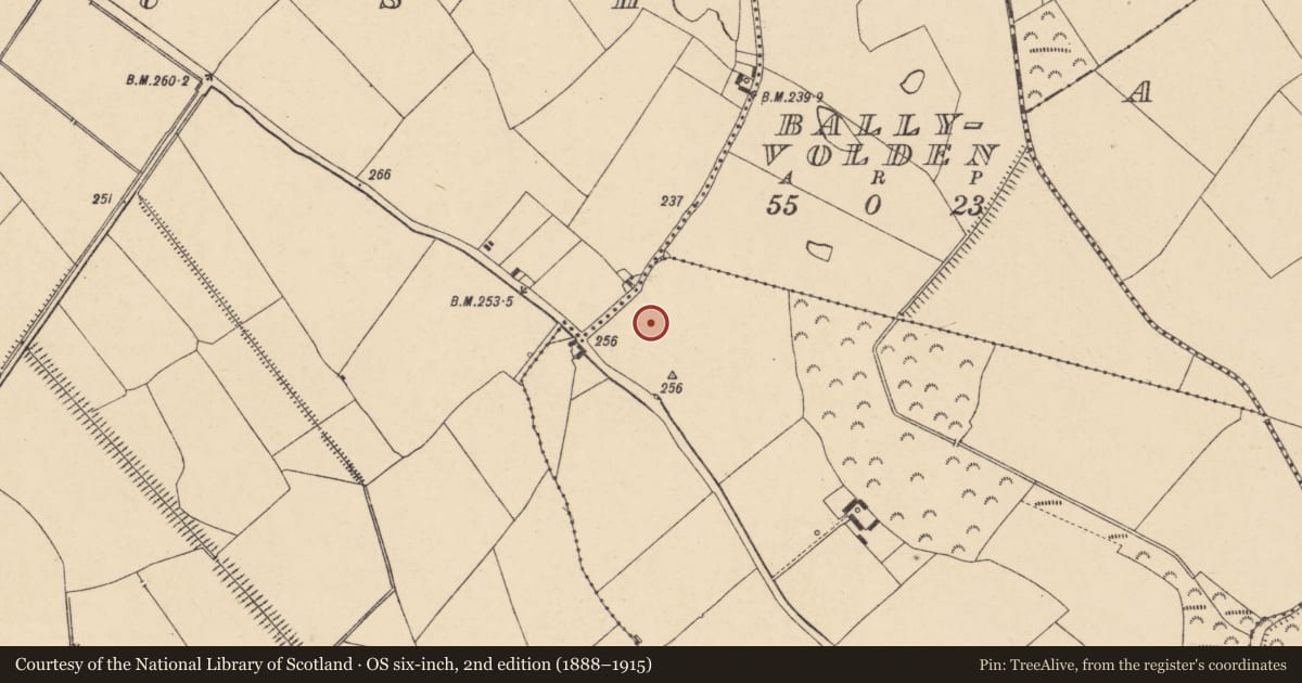 Ordnance Survey six-inch map, 2nd edition (1888–1915) covering the location of Enclosure - large enclosure, Ballygarret Or Sandbrook, County Carlow, with a pin at the register's coordinates