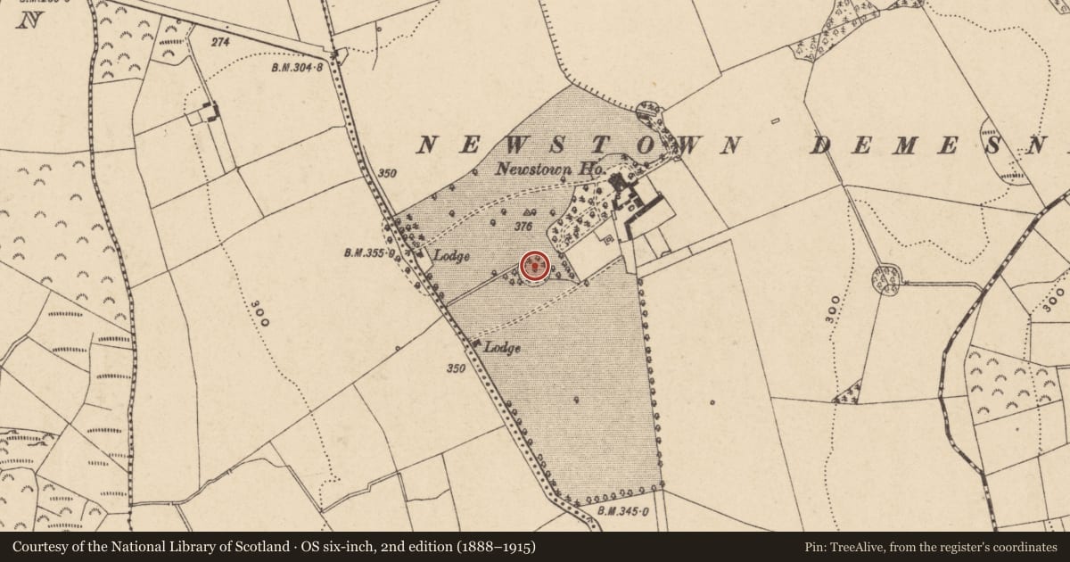 Ordnance Survey six-inch map, 2nd edition (1888–1915) covering the location of Enclosure, Newstown, County Carlow, with a pin at the register's coordinates