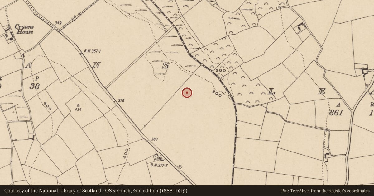 Ordnance Survey six-inch map, 2nd edition (1888–1915) covering the location of Moated site, Craans, County Carlow, with a pin at the register's coordinates