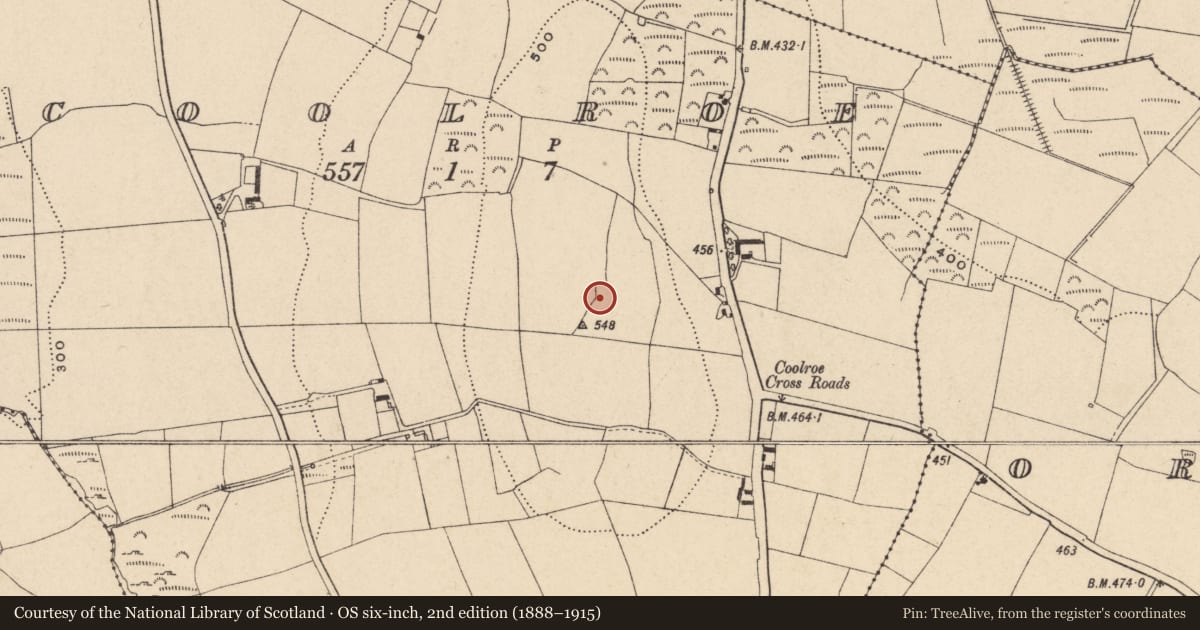 Ordnance Survey six-inch map, 2nd edition (1888–1915) covering the location of Earthwork, Coolroe, County Carlow, with a pin at the register's coordinates