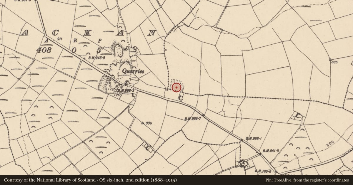 Ordnance Survey six-inch map, 2nd edition (1888–1915) covering the location of Moated site, Tomnasock, County Carlow, with a pin at the register's coordinates