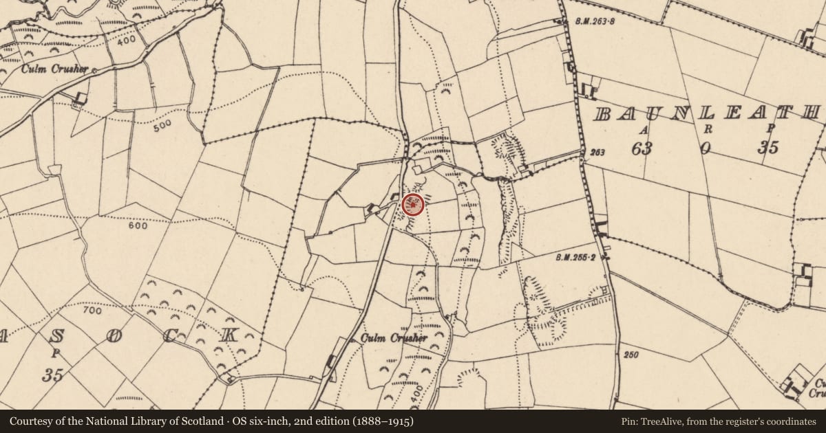 Ordnance Survey six-inch map, 2nd edition (1888–1915) covering the location of Quarry, Bannagagole, County Carlow, with a pin at the register's coordinates