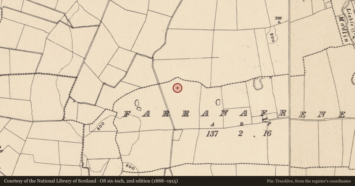 Ordnance Survey six-inch map, 2nd edition (1888–1915) covering the location of Field system, Farranafreney, County Carlow, with a pin at the register's coordinates