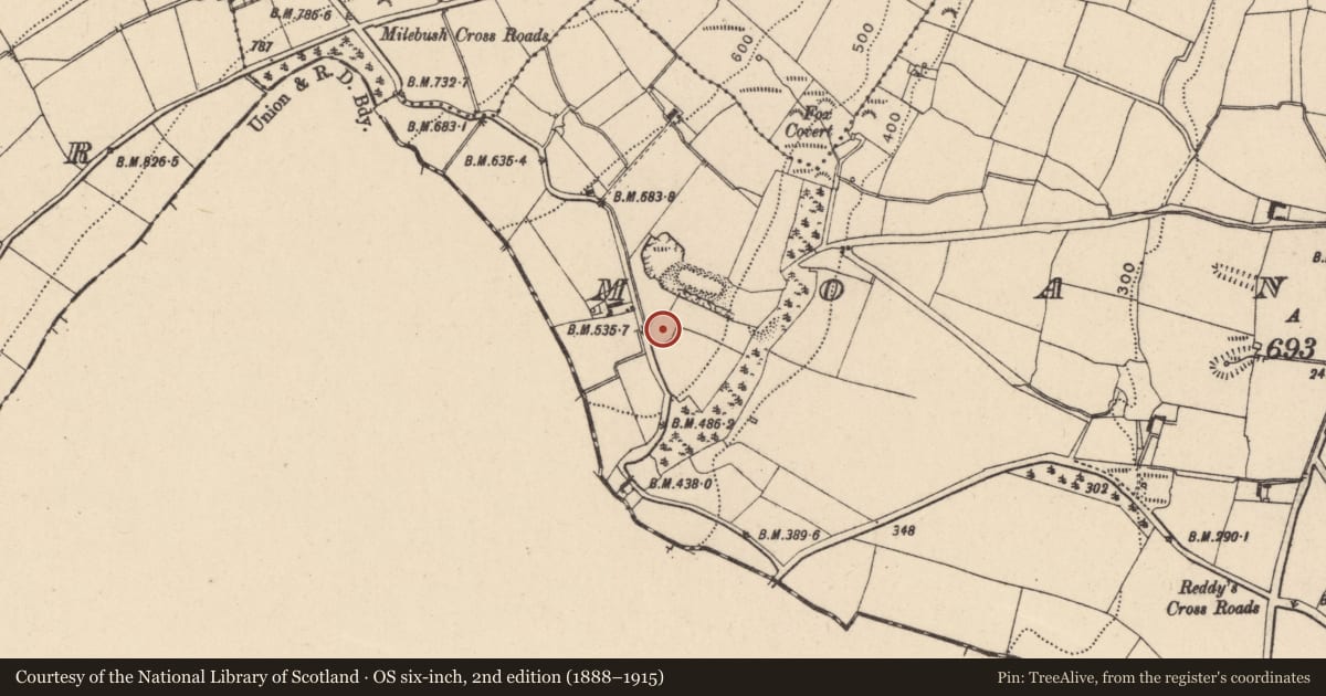 Ordnance Survey six-inch map, 2nd edition (1888–1915) covering the location of Ringfort - rath, Moanmore, County Carlow, with a pin at the register's coordinates