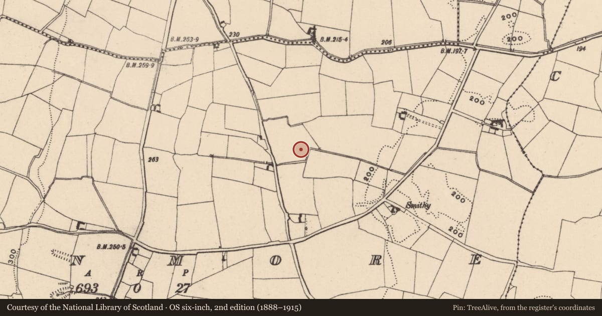 Ordnance Survey six-inch map, 2nd edition (1888–1915) covering the location of Excavation - miscellaneous, Moanmore, County Carlow, with a pin at the register's coordinates