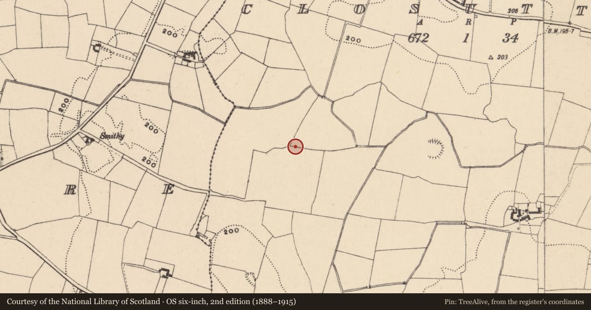Ordnance Survey six-inch map, 2nd edition (1888–1915) covering the location of Enclosure, Closutton, County Carlow, with a pin at the register's coordinates