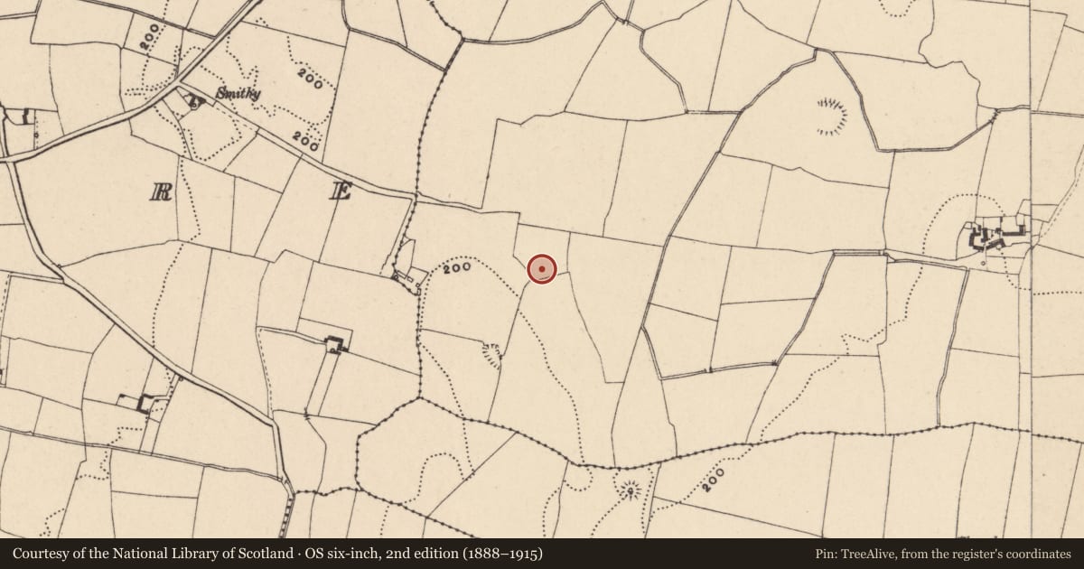 Ordnance Survey six-inch map, 2nd edition (1888–1915) covering the location of Earthwork, Closutton, County Carlow, with a pin at the register's coordinates