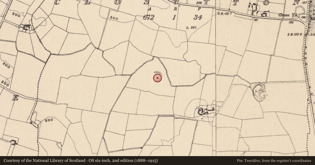 Ordnance Survey six-inch map, 2nd edition (1888–1915) covering the location of Enclosure, Closutton, County Carlow, with a pin at the register's coordinates
