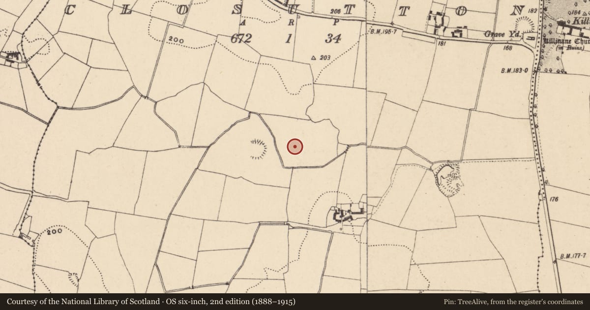 Ordnance Survey six-inch map, 2nd edition (1888–1915) covering the location of Enclosure, Closutton, County Carlow, with a pin at the register's coordinates