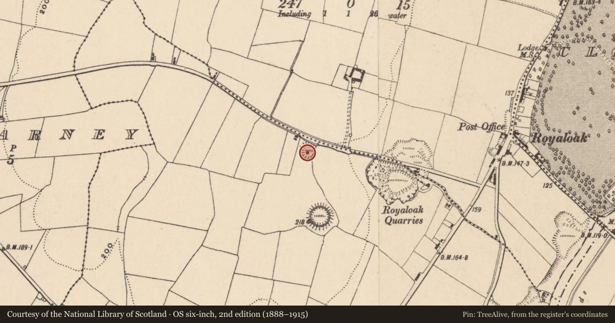Ordnance Survey six-inch map, 2nd edition (1888–1915) covering the location of Ringfort - rath, Wells, County Carlow, with a pin at the register's coordinates