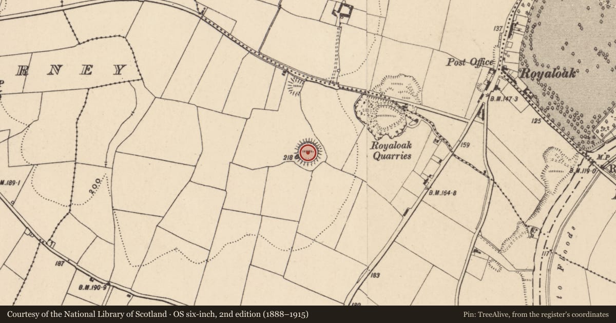 Ordnance Survey six-inch map, 2nd edition (1888–1915) covering the location of Ringfort - rath, Wells, County Carlow, with a pin at the register's coordinates