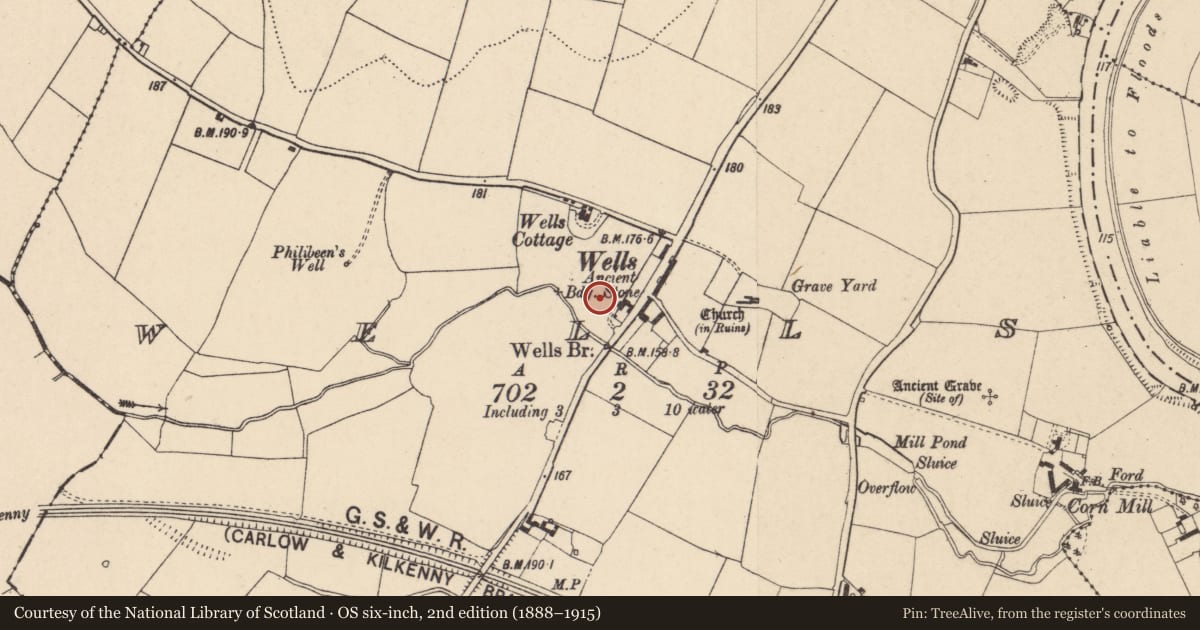 Ordnance Survey six-inch map, 2nd edition (1888–1915) covering the location of Cross, Wells, County Carlow, with a pin at the register's coordinates