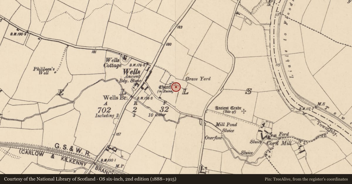 Ordnance Survey six-inch map, 2nd edition (1888–1915) covering the location of Graveyard, Wells, County Carlow, with a pin at the register's coordinates