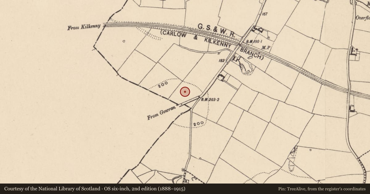 Ordnance Survey six-inch map, 2nd edition (1888–1915) covering the location of Barrow - unclassified, Wells, County Carlow, with a pin at the register's coordinates