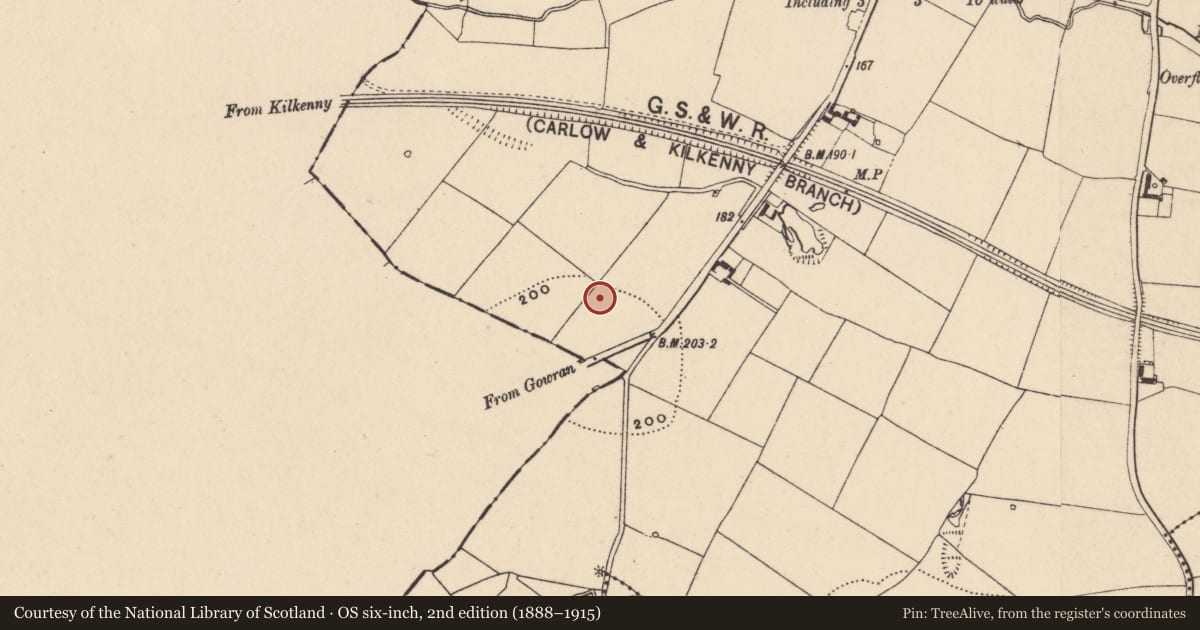 Ordnance Survey six-inch map, 2nd edition (1888–1915) covering the location of Barrow - unclassified, Wells, County Carlow, with a pin at the register's coordinates