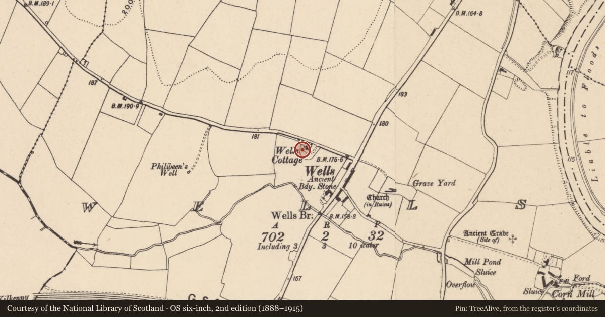 Ordnance Survey six-inch map, 2nd edition (1888–1915) covering the location of Souterrain, Wells, County Carlow, with a pin at the register's coordinates