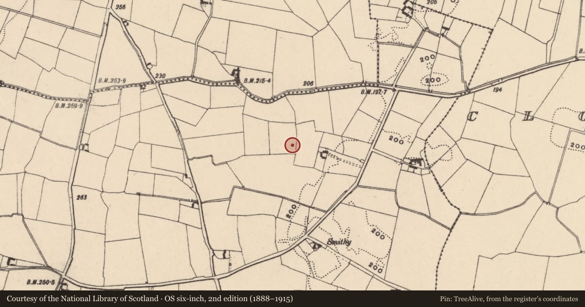 Ordnance Survey six-inch map, 2nd edition (1888–1915) covering the location of Fulacht fia, Bannagagole, County Carlow, with a pin at the register's coordinates