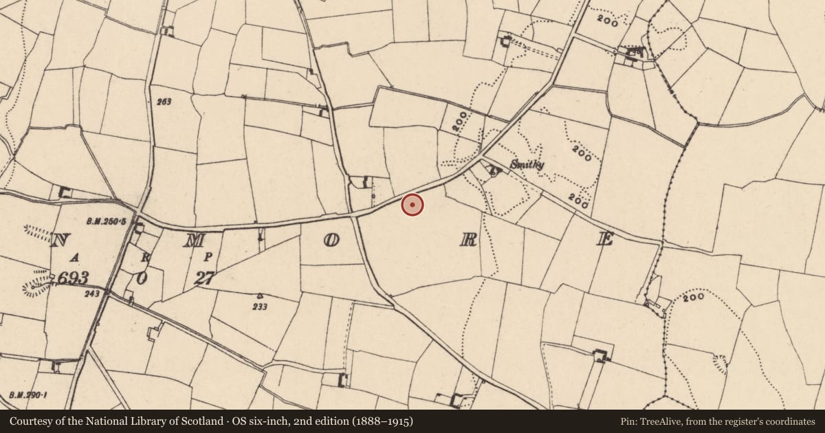 Ordnance Survey six-inch map, 2nd edition (1888–1915) covering the location of Structure, Moanmore, County Carlow, with a pin at the register's coordinates