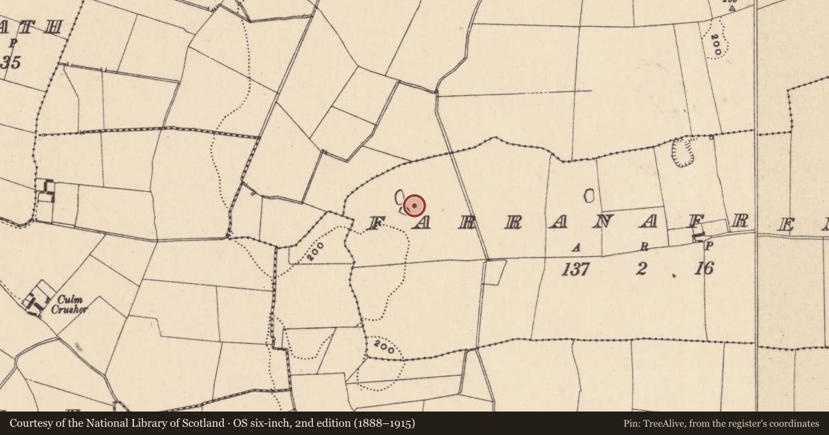 Ordnance Survey six-inch map, 2nd edition (1888–1915) covering the location of Enclosure, Farranafreney, County Carlow, with a pin at the register's coordinates