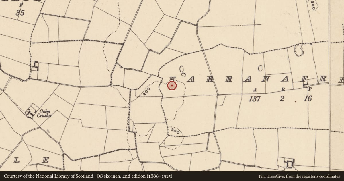 Ordnance Survey six-inch map, 2nd edition (1888–1915) covering the location of Field system, Farranafreney, County Carlow, with a pin at the register's coordinates