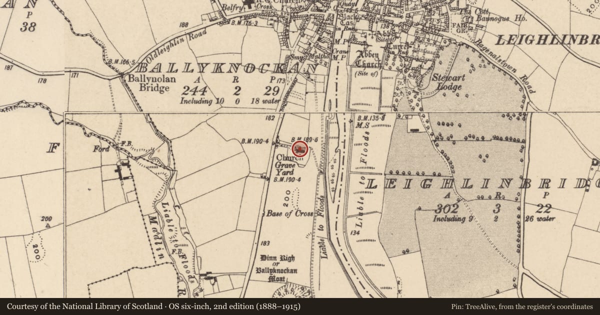 Ordnance Survey six-inch map, 2nd edition (1888–1915) covering the location of Church, Ballyknockan, County Carlow, with a pin at the register's coordinates