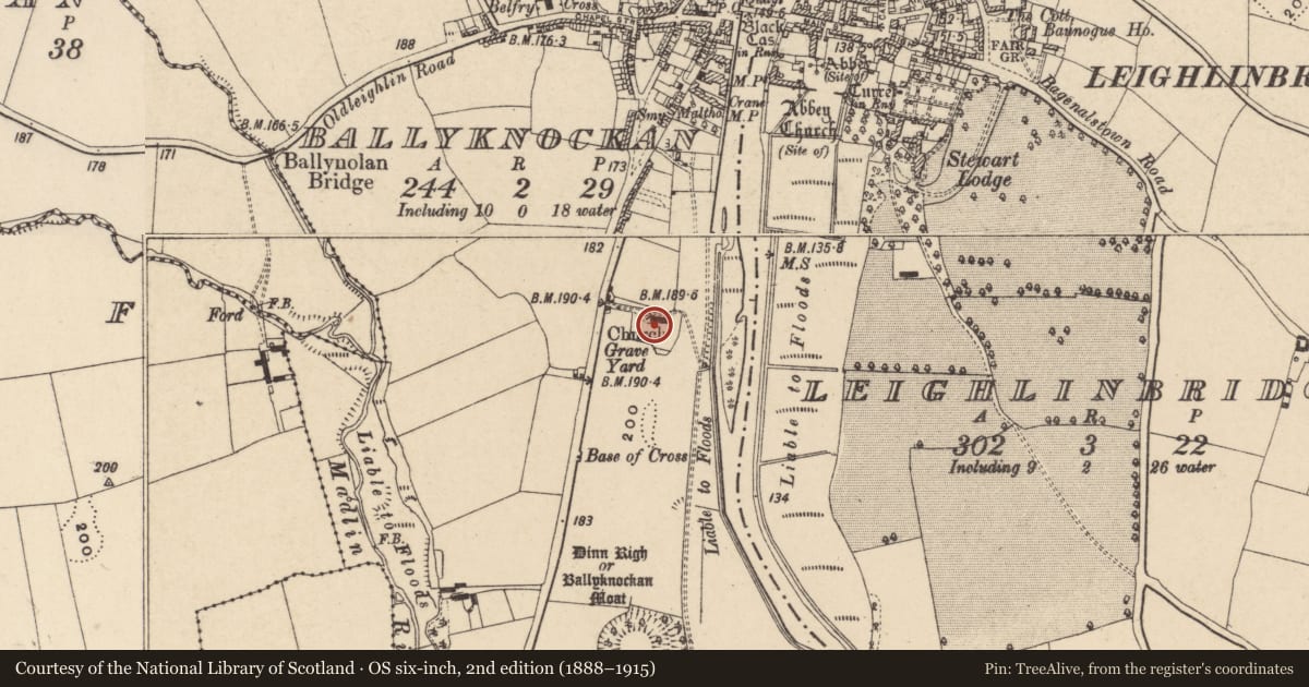 Ordnance Survey six-inch map, 2nd edition (1888–1915) covering the location of Graveyard, Ballyknockan, County Carlow, with a pin at the register's coordinates