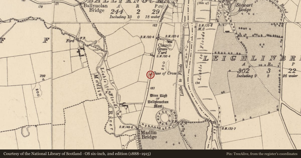 Ordnance Survey six-inch map, 2nd edition (1888–1915) covering the location of Boundary stone, Ballyknockan, County Carlow, with a pin at the register's coordinates