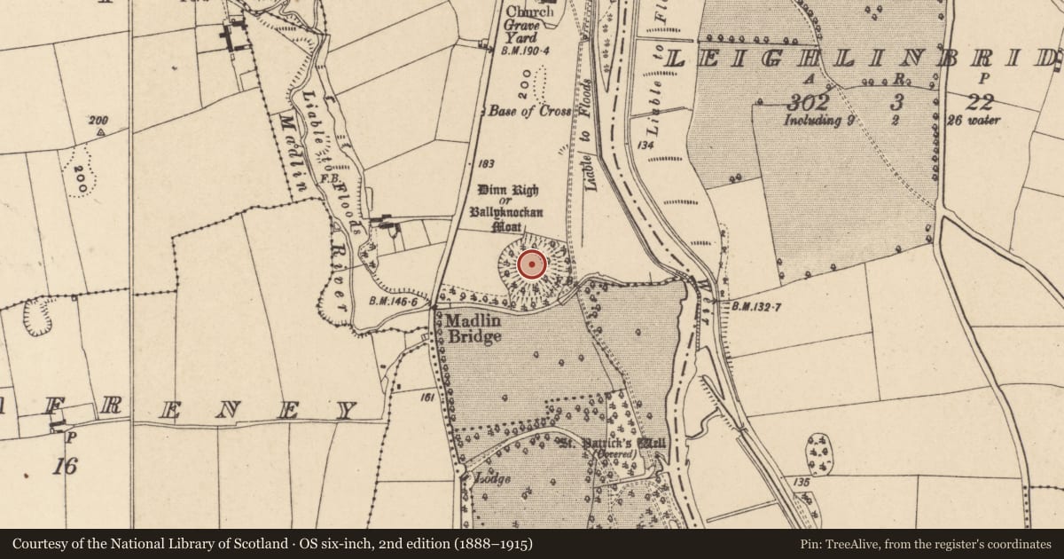 Ordnance Survey six-inch map, 2nd edition (1888–1915) covering the location of Castle - motte, Ballyknockan, County Carlow, with a pin at the register's coordinates