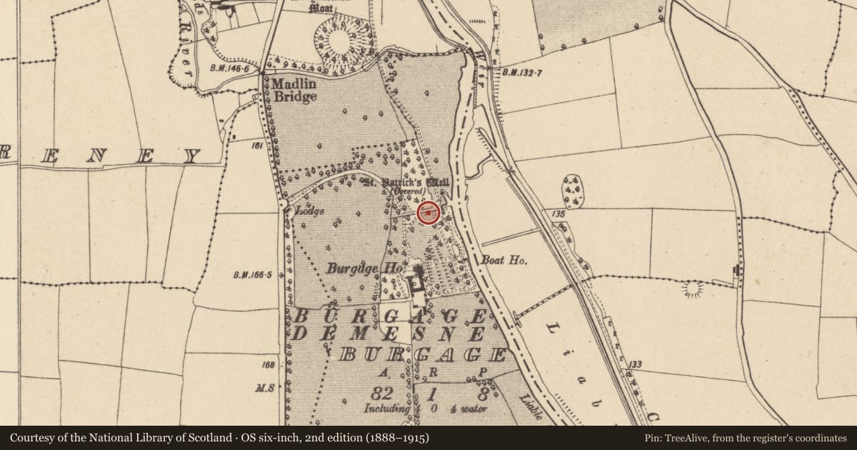 Ordnance Survey six-inch map, 2nd edition (1888–1915) covering the location of Ritual site - holy well, Burgage, County Carlow, with a pin at the register's coordinates