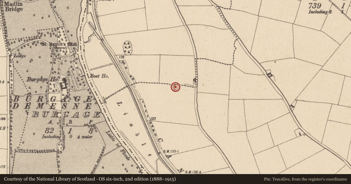 Ordnance Survey six-inch map, 2nd edition (1888–1915) covering the location of Enclosure, Rathellin, County Carlow, with a pin at the register's coordinates
